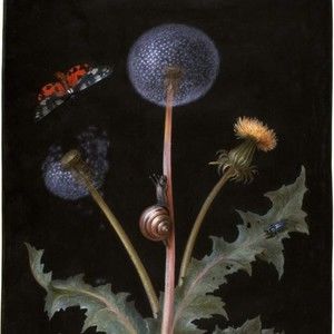 Meet your Posher, Lady